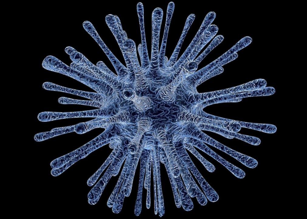 Virus
